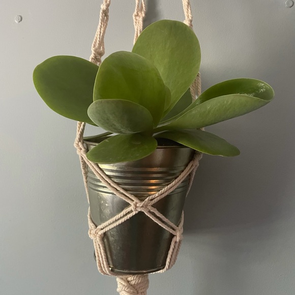 Hand knotted macrame plant hanger - Picture 2 of 4